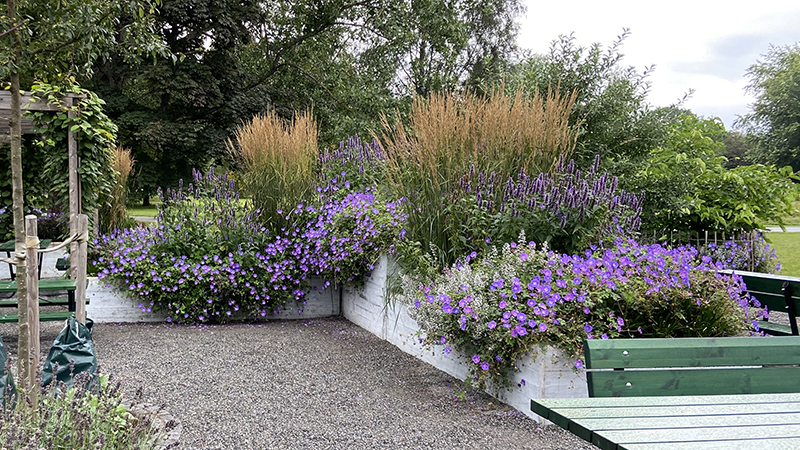 köksträdgården i Jordbro står i full blom