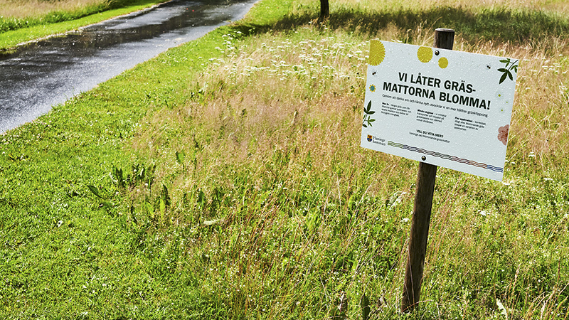 Skylt som står i högt gräs