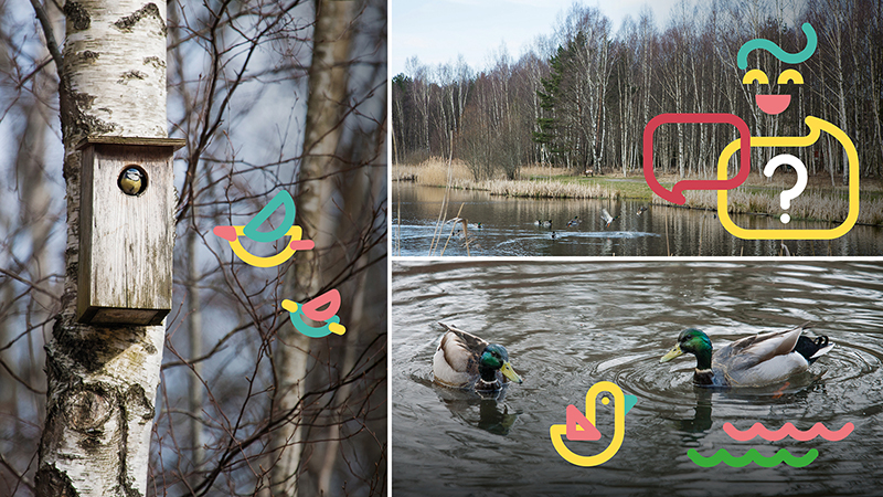 Konceptbild för Nyfiken park