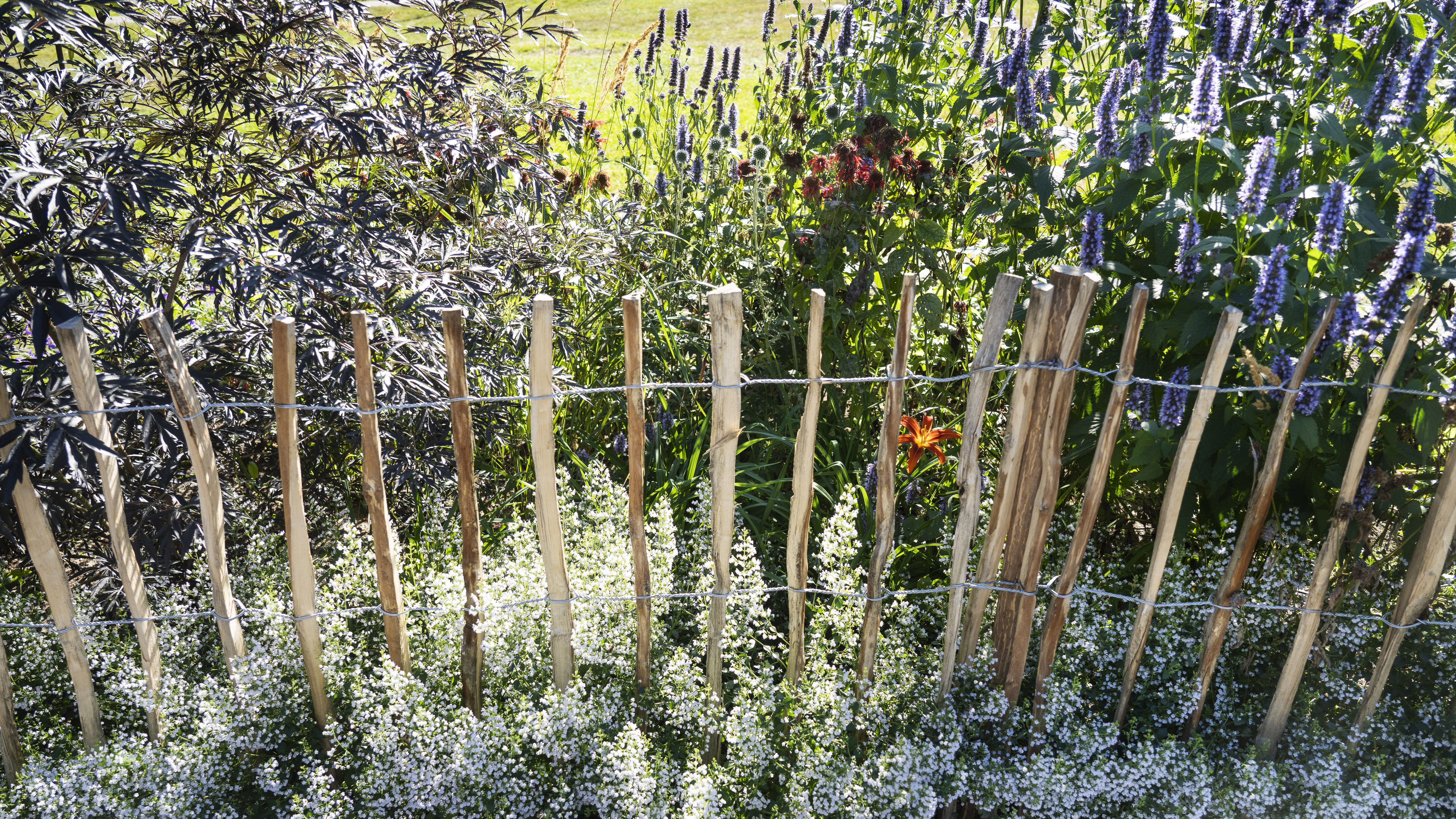 Blomsterrabatt i köksträdgården i Höglundaparken i Jordbro
